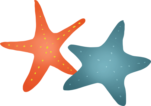 bf24774a-e2b1-4e0a-8de5-18f23113e793.png