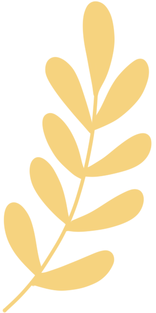 d36f7390-e424-4070-a54c-a0085830a168.png