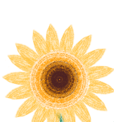 f8688e21-3e0d-4eac-92c4-903bec24fb7d.png
